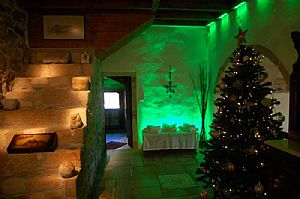 Номер-люкс с колодцем № 12